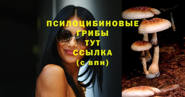 PSILOCYBIN Лихославль