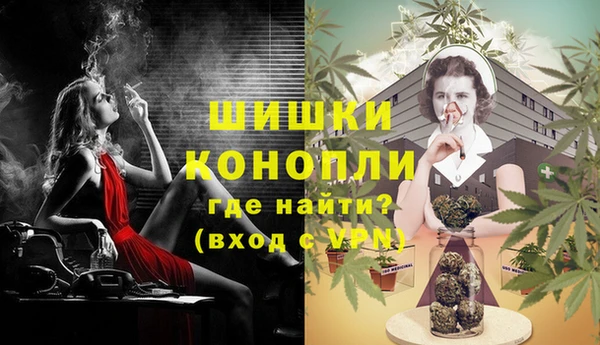 PSILOCYBIN Лихославль