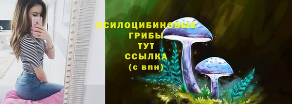 PSILOCYBIN Лихославль