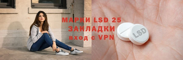 винт Липки