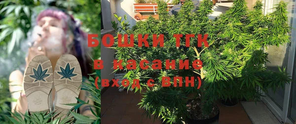 винт Липки