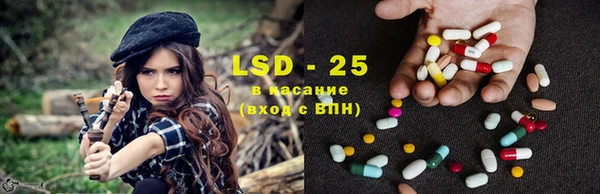 винт Липки