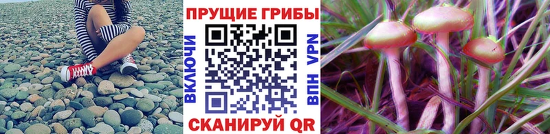 Псилоцибиновые грибы мухоморы  Балаково 