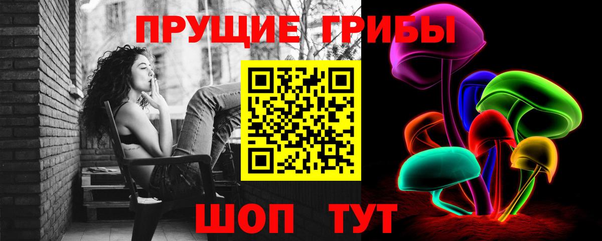 Галлюциногенные грибы Cubensis Балаково